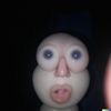isiiimr