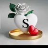 user2848223815860