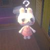 ..x.doll