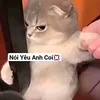 wagtin100