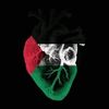 fouad.momo4