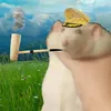 adekvat_10taklya