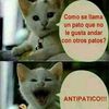carlos.vasquez7299