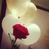 user6123450817433