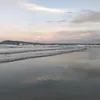 wlalng_01