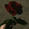 bella_abdo1