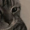 ramad.miaw