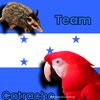 sofia.machado1041