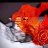 nguyxn.nam0