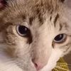 aldair82619