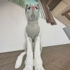 normalpaw
