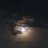 thu_quinhz2109