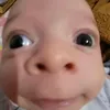 davi.luiz7484