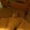 soc26_10