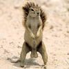 sukmynutstiktok