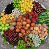 shoaib.1645