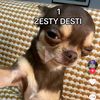 jett.wetty