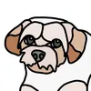 papichon.max