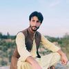 786_bajaury