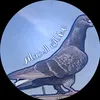 bshydr692