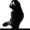 rody32464