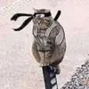 golovastik_tt