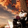 dar_345_