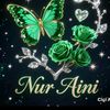 jenk.noer