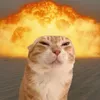 ilvjunwu
