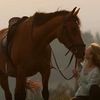 horsegirl112