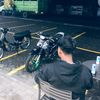 perokelinci17_