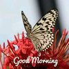 sohel.rana6440