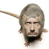 baba_reel