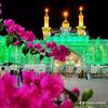 user391511241