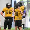 shanehandley.11