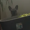 you_want_to_see