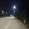 vihanh743