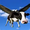 lmemay2