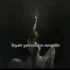 havindelalcan.com