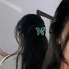 .amaya.69