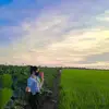 tk.ct21138