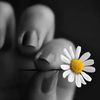 asmaa22117