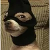 ogkreamer