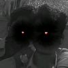 sadiqabadiking804