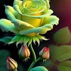 user9801768040507