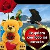 lailabella43