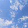 www.user137