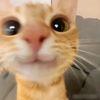 nasima_373