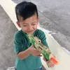 hajimenoippoking
