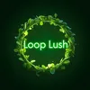 looplush.official